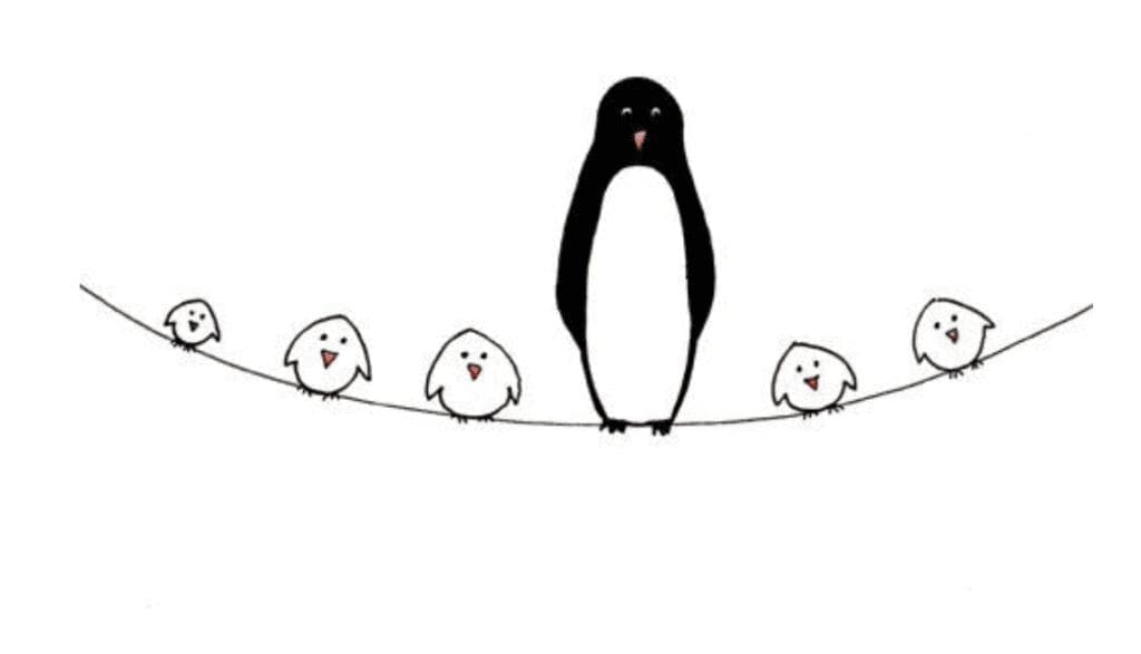 different size birds on a wire